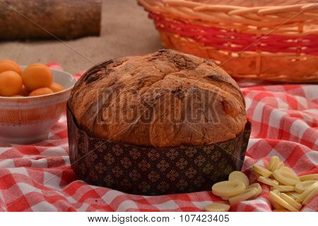 White chocolate panetone and ingredients. Traditional Christmas food.