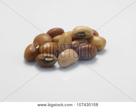 close up of the Nigeria brown beans