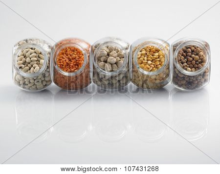 assorted beans arranged in a row