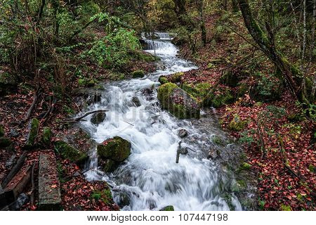Waterfall in the Forest