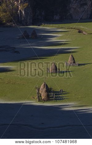 Frozen Haystacks