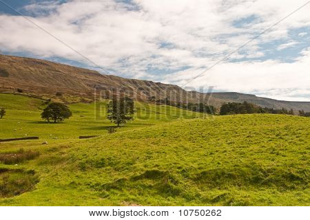 Dales ยอร์คเชียร์