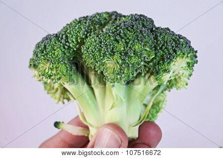brocoli and hand