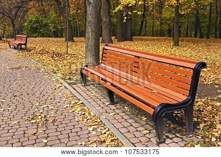 Bench In Park In Falling Season