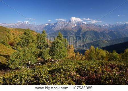 Autumn landscape. View of the main Caucasus Range and Mount Ushba. Sunny day. Zemo Svaneti, Georgia 