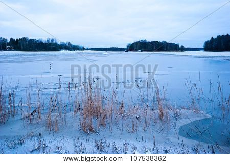 Floded Field In Winter Twilight