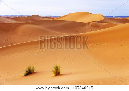 Sunrise light in Sahara Desert, Africa
