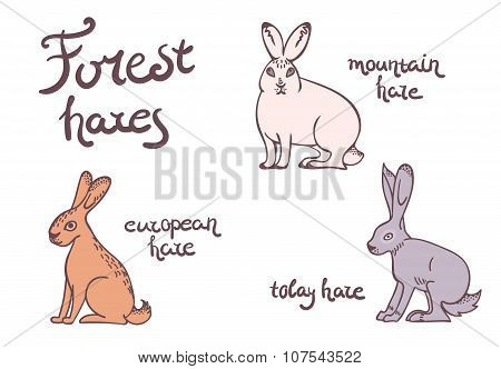 Forest hares set