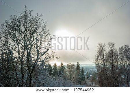View To Holmenkollen, Oslo Over Trees In Winter