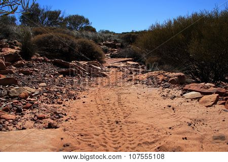Tracks