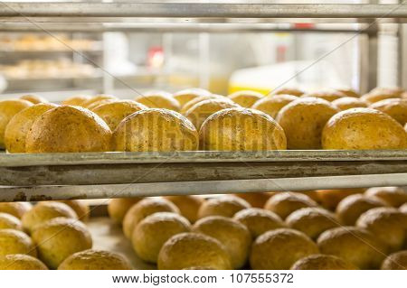 Hot Baked Bread In Kitchen