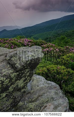 Keyhole View On Jane Bald Vertical