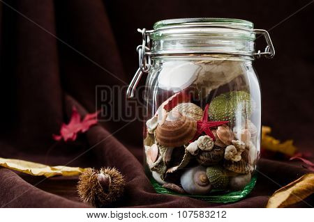 Concept Of Changing Seasons Summer In Jar In Autumn Setting