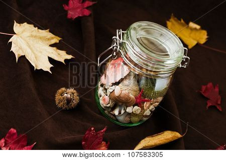 Concept Of Changing Seasons Summer In Jar In Autumn Setting
