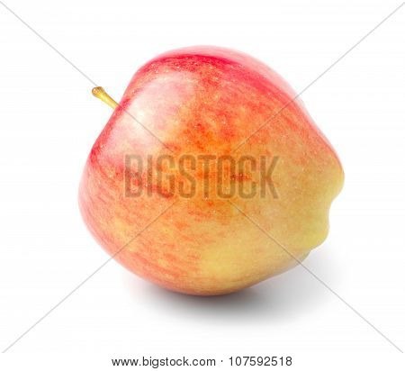 Fresh Red Apple