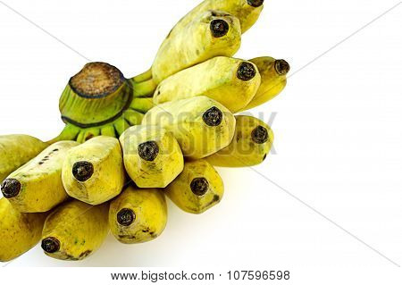 Cultivate Banana On White Background