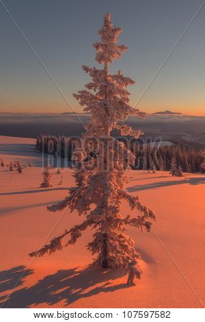 Fantastic orange evening landscape glowing by sunlight. Dramatic wintry scene with snowy trees. Kukul ridge, Carpathians, Ukraine, Europe. Merry Christmas!