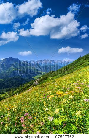 Beautiful view from top of cableway above the Konigsee lake on Schneibstein mountain ridge. Border of German and Austrian Alps, Europe.