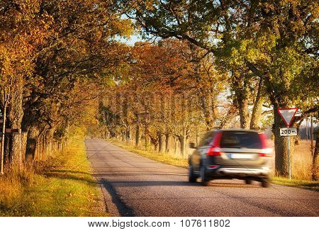 alley in autumn