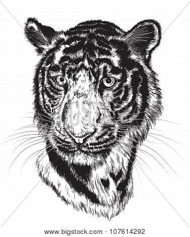 Tiger's Face