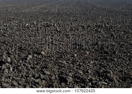 The Black Plowed Field In The Fall