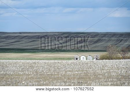 Hilly Fields Of Canadian Prairies And Old Barns