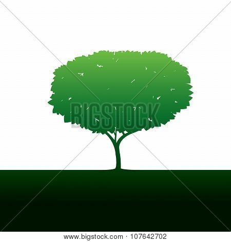 Green Tree. Vector Illustration.