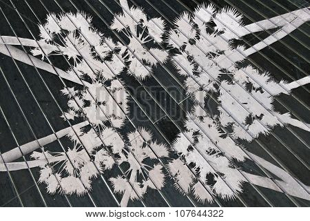 Abstract sugar palm tree for background and pattern