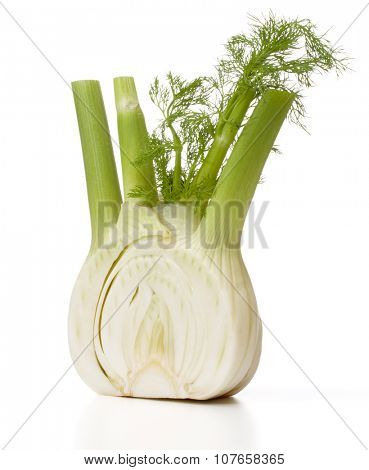 Fresh fennel bulb isolated on white background close up