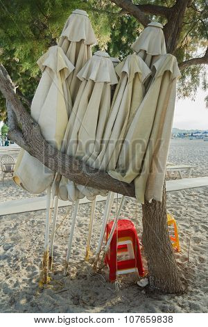 Folded Linen Beach Umbrellas In Evergreen Tamarisks Shade On Greek Sandy Autumn Beach Near Mastihari