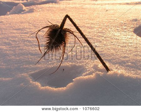 증거 공장입니다.