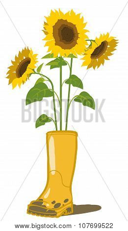 Sunflowers And Garden Rubber Boots. Vector Illustration