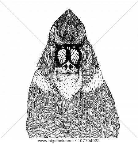 hand drawn vector illustration with an abstract mandrill isolated on a white background