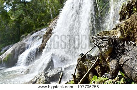 El Nicho Waterfall In Scambray Mountains. Cienfuegos Province, Cuba.
