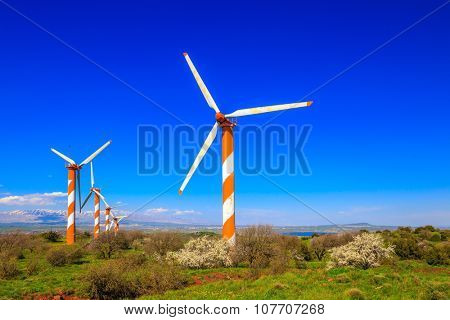 Flowering Golan Heights on a sunny day. Several huge modern windmills. Seen in the distance the snow-covered Hermon. Israel