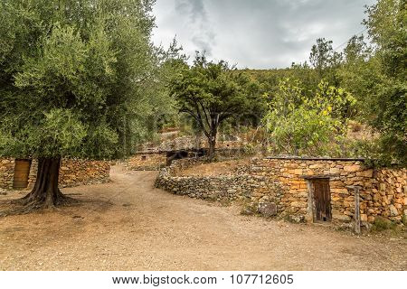 Village And Stone Buildings At Tuvarelli In Corsica