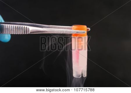 cryotube with cell suspension on liquid nitrogen bank.