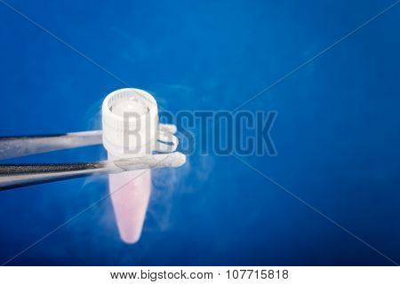 cryotube with cell suspension on liquid nitrogen bank.