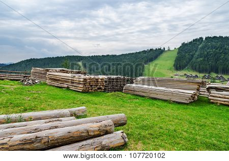 logs in mountain. start of construction
