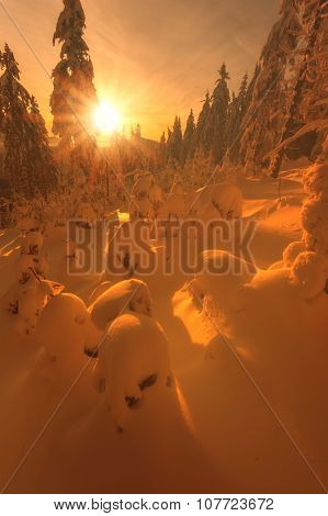 Fantastic orange evening landscape glowing by sunlight. Dramatic wintry scene with snowy trees. Kukul ridge, Carpathians, Ukraine, Europe. Merry Christmas!