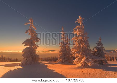 Fantastic orange evening landscape glowing by sunlight. Dramatic wintry scene with snowy trees. Kukul ridge, Carpathians, Ukraine, Europe. Merry Christmas!