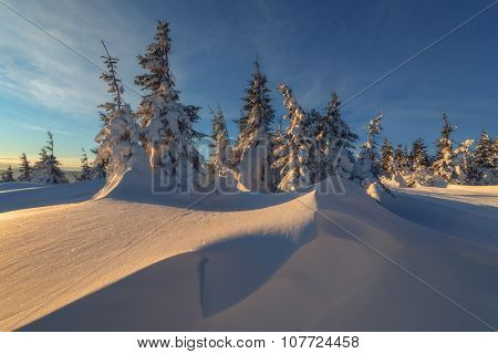 Fantastic orange evening landscape glowing by sunlight. Dramatic wintry scene with snowy trees. Kukul ridge, Carpathians, Ukraine, Europe. Merry Christmas!
