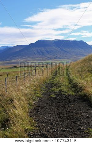 Tire Track Trail Through the Farmlands of Skagafjordur Northern Iceland
