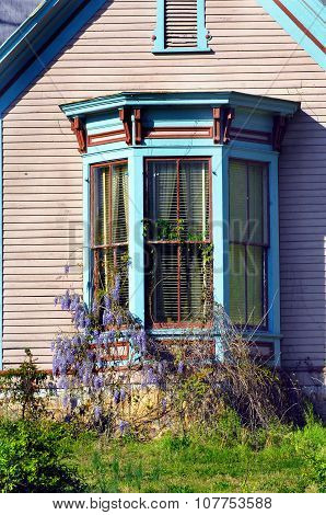 Bay Window And Wysteria