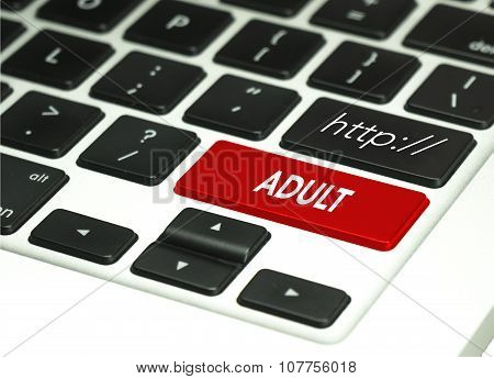 Information searching global network on keyboard button
