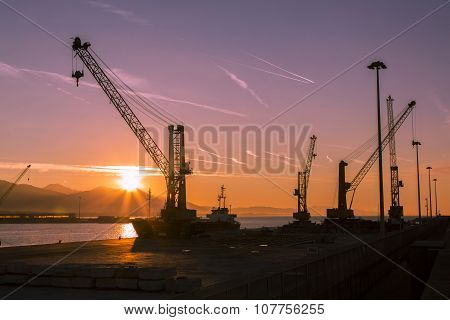 Cranes At Dawn