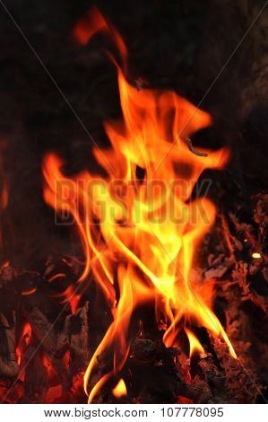 Fire flames close-up on black background