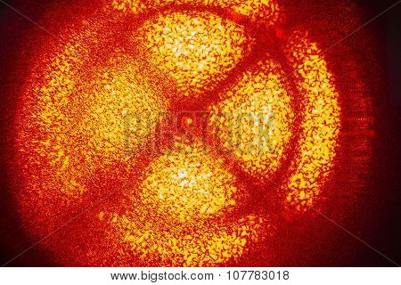 Birefringence Phenomena