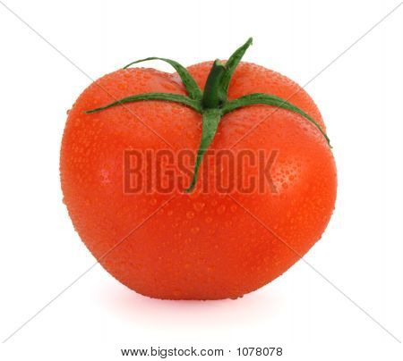 frischen Tomaten isoliert