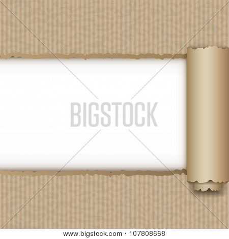 Torn Brown Paper Box